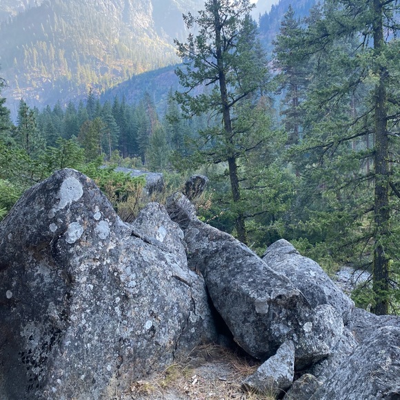 Meet your Posher, Lena - Picture 10 of 16